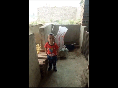 Ảnh bìa bài viết 523778