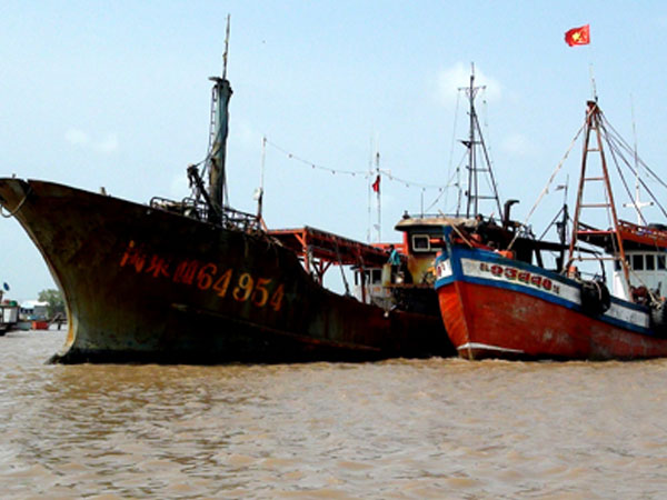 Ảnh bìa bài viết 523975