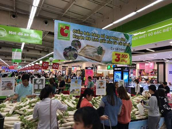 Ảnh bìa bài viết 525256