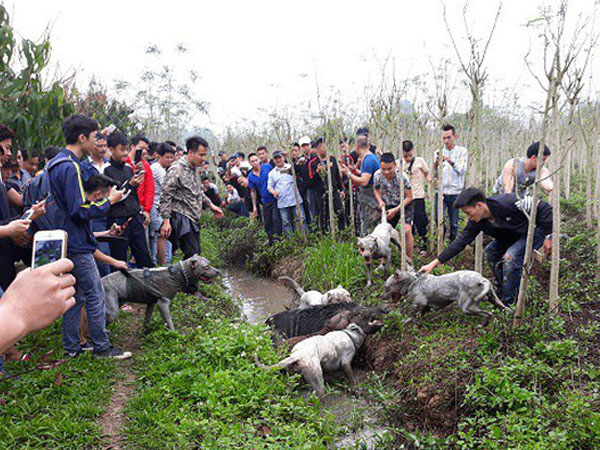 Ảnh bìa bài viết 526339