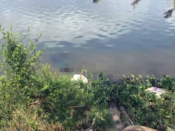 Ảnh bìa bài viết 526382