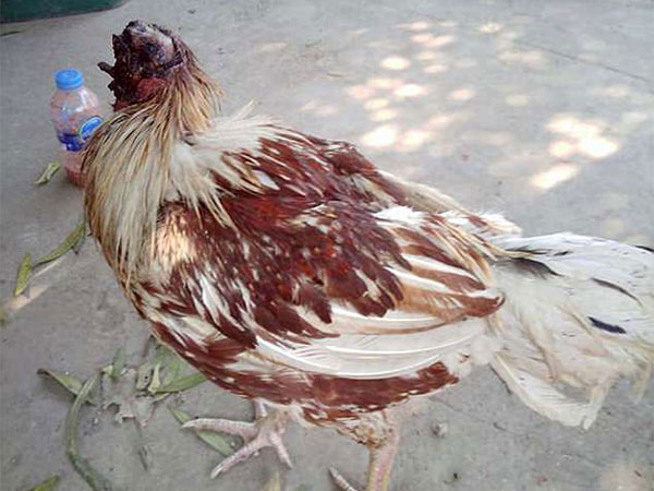 Ảnh bìa bài viết 527172