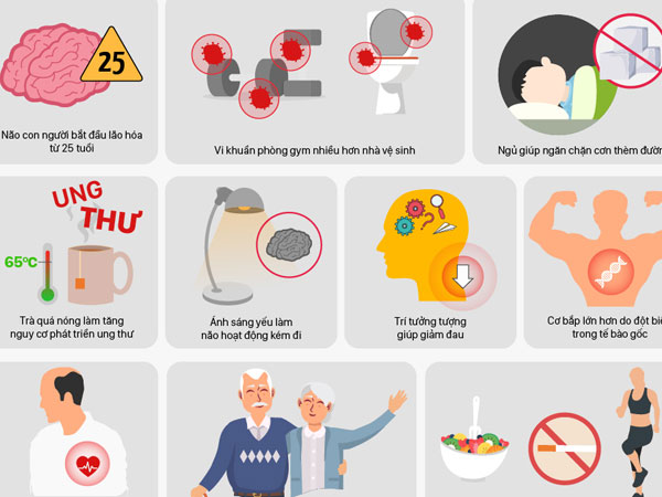 Ảnh bìa bài viết 527321