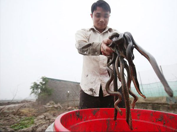 Ảnh bìa bài viết 527671