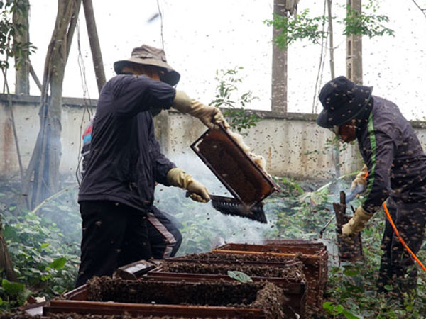 Ảnh bìa bài viết 527886