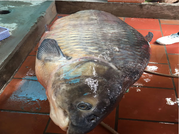 Ảnh bìa bài viết 528329