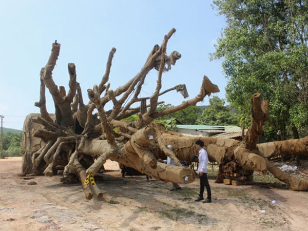 Ảnh bìa bài viết 528601