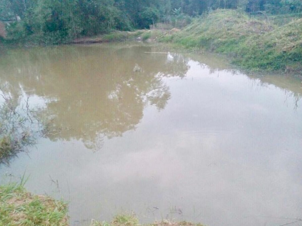 Ảnh bìa bài viết 528630