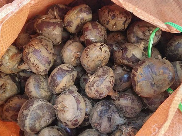 Ảnh bìa bài viết 528949