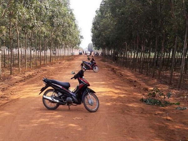 Ảnh bìa bài viết 529102
