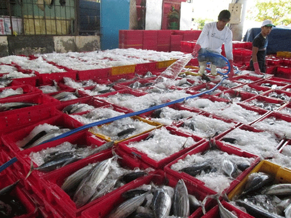 Ảnh bìa bài viết 528965