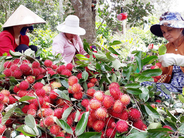 Ảnh bìa bài viết 529981