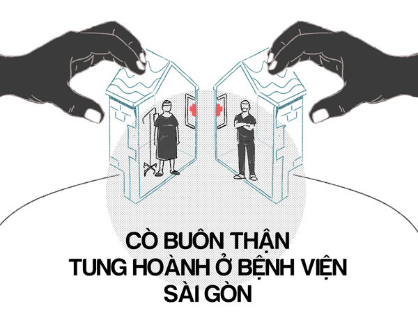Ảnh bìa bài viết 530459