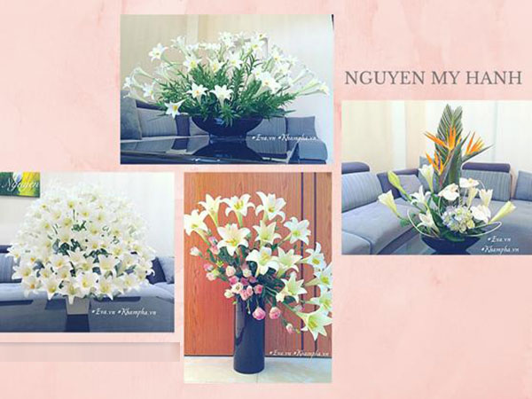Ảnh bìa bài viết 530556