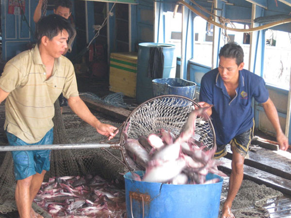 Ảnh bìa bài viết 530753