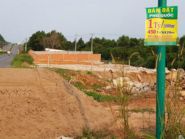 Ảnh bìa bài viết 531069