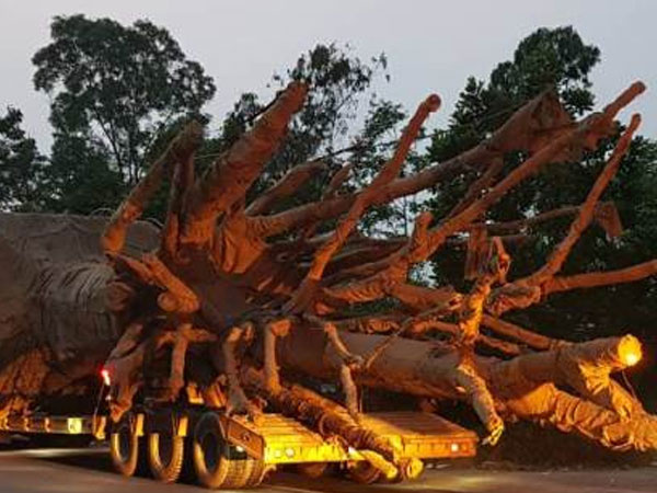 Ảnh bìa bài viết 531189