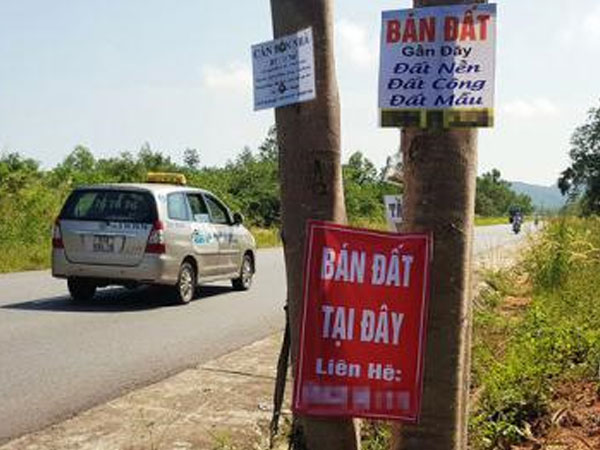 Ảnh bìa bài viết 531291