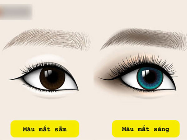 Ảnh bìa bài viết 531483
