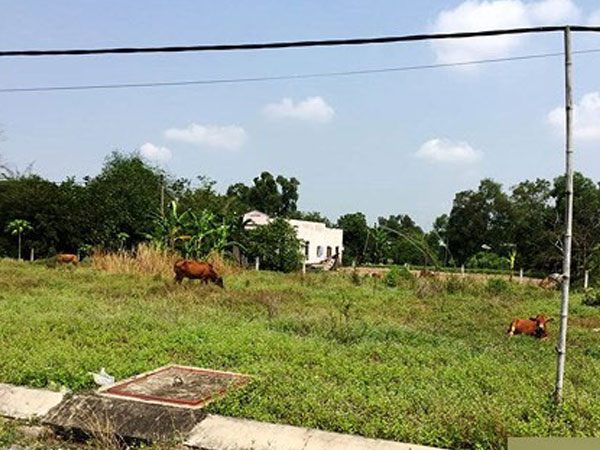 Ảnh bìa bài viết 531788