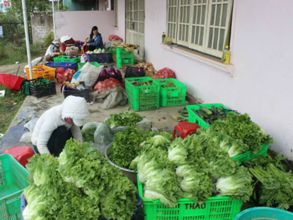Ảnh bìa bài viết 532212