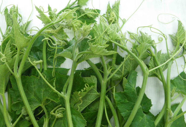 Ảnh bìa bài viết 532271