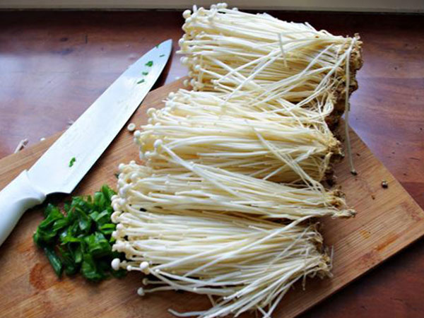 Ảnh bìa bài viết 532287