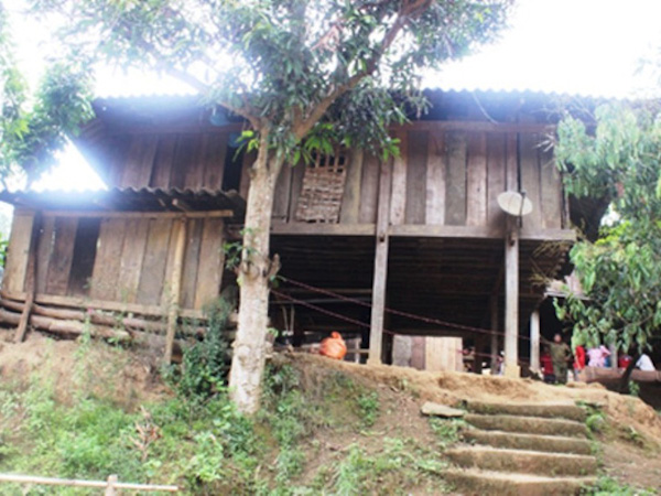 Ảnh bìa bài viết 532366