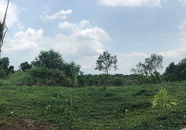 Ảnh bìa bài viết 532558