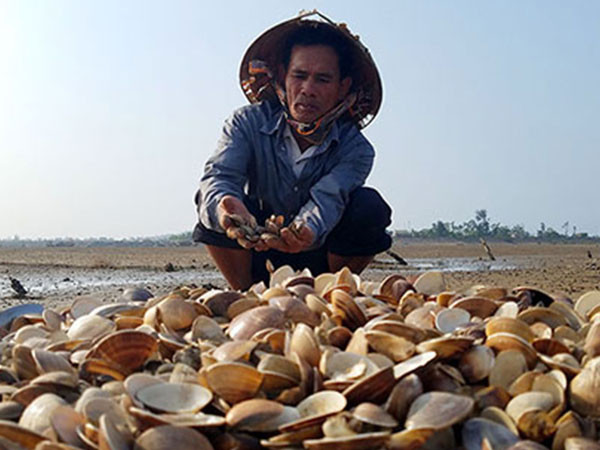 Ảnh bìa bài viết 532910