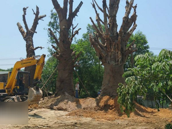 Ảnh bìa bài viết 533541