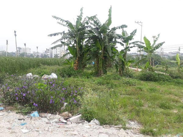 Ảnh bìa bài viết 533986