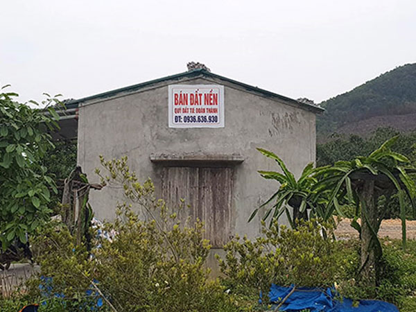 Ảnh bìa bài viết 534240