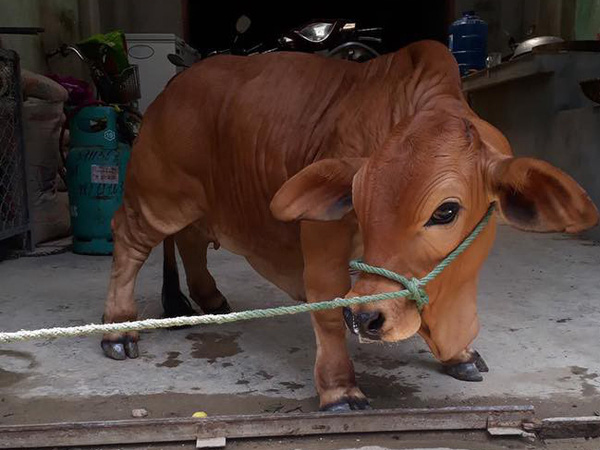 Ảnh bìa bài viết 535020