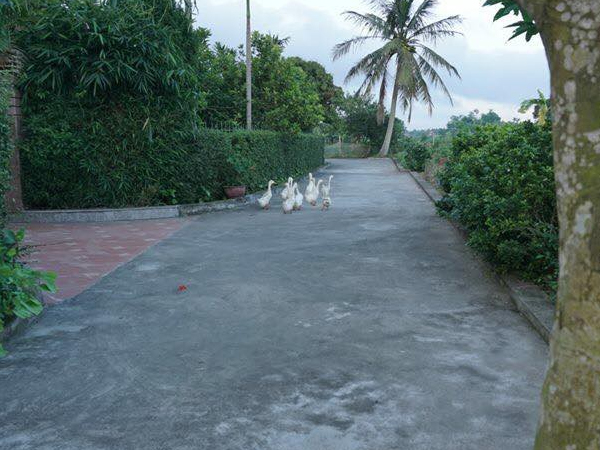 Ảnh bìa bài viết 535409