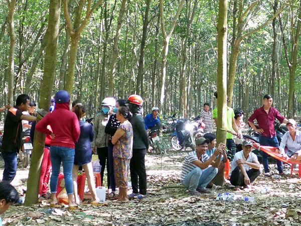 Ảnh bìa bài viết 535724