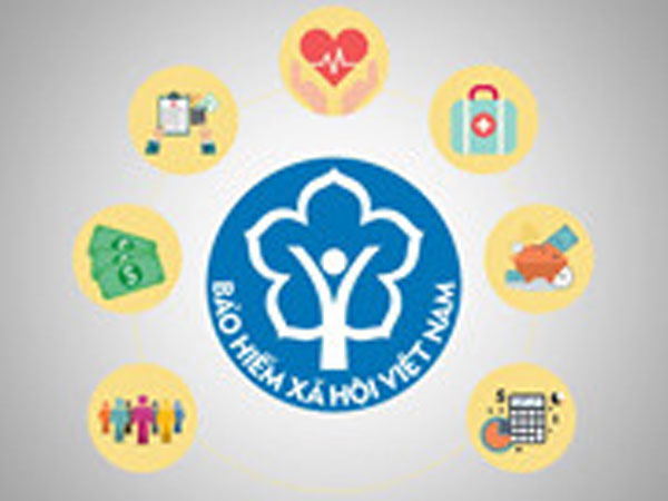 Ảnh bìa bài viết 537013