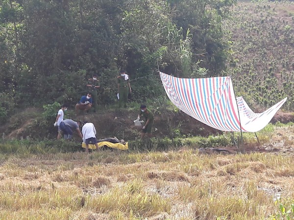 Ảnh bìa bài viết 537576