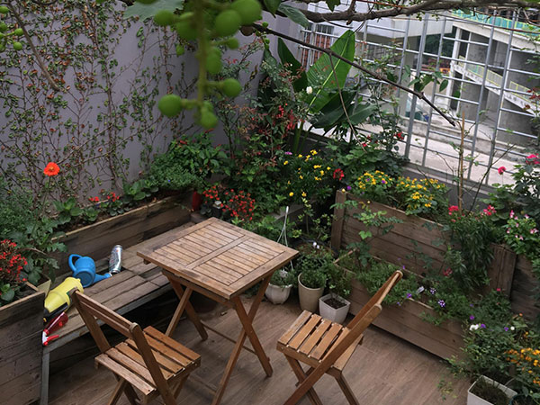 Ảnh bìa bài viết 538227