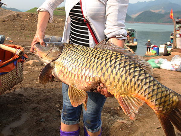Ảnh bìa bài viết 538684