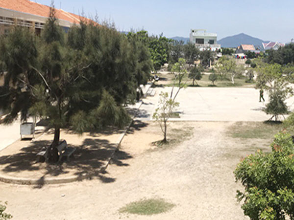 Ảnh bìa bài viết 539043