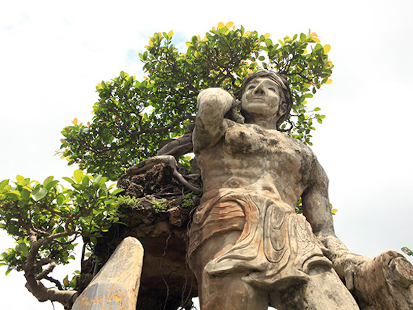 Ảnh bìa bài viết 539488