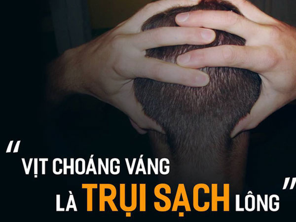 Ảnh bìa bài viết 539920