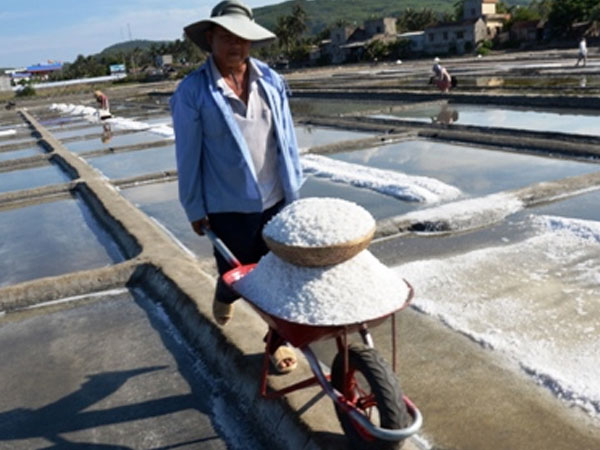 Ảnh bìa bài viết 540209