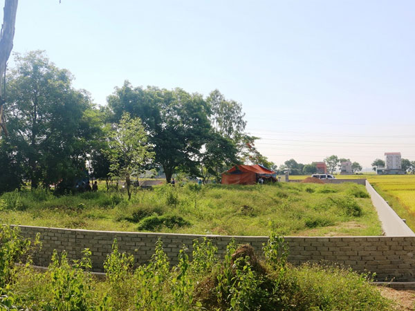 Ảnh bìa bài viết 540543