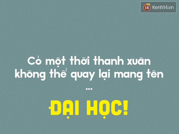 Ảnh bìa bài viết 541747