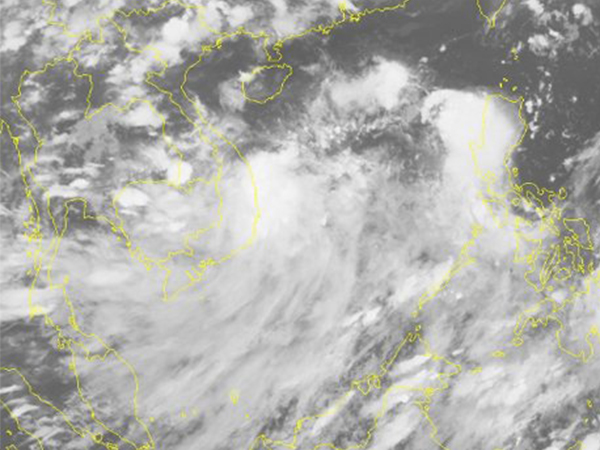 Ảnh bìa bài viết 542849