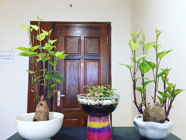 Ảnh bìa bài viết 542901