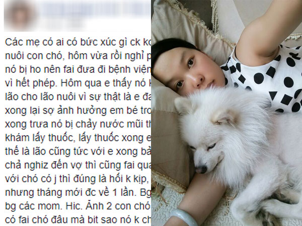 Ảnh bìa bài viết 543808
