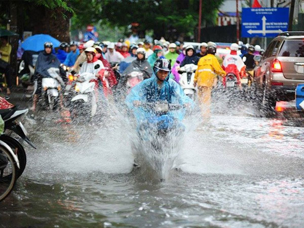 Ảnh bìa bài viết 545379